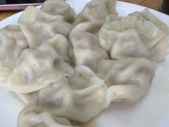 -启子大馅饺子