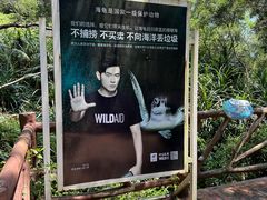 -广东惠东海龟国家级自然保护区