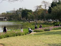 -映月湖公园