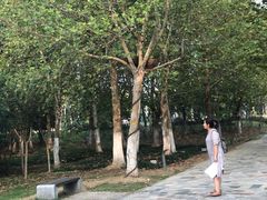 -滨湖塘西河公园