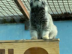 -青藏高原野生动物园