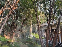 -Chom Cafe and Restaurant