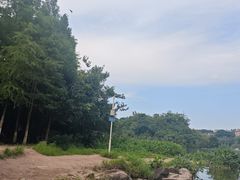 -重庆彩云湖湿地公园