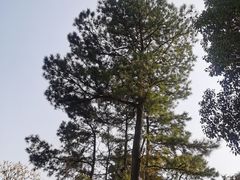 -孙武文化园-停车场