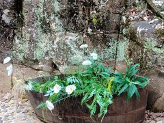 -众神白水涧景区