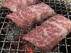 -大阪烧肉BAKA一代(十亩地店)