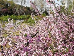 -大个子蒸饭