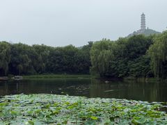 -北坞公园
