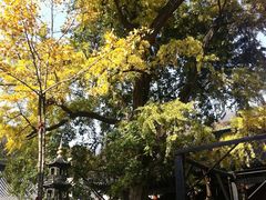 -青檀寺景区