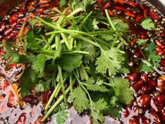 活水鱼蛋-拈一筷子·宜宾江湖菜(十一街店)