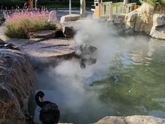 -静之湖度假区