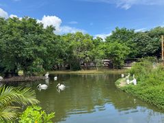 -深圳野生动物园