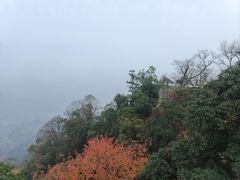 -青城山