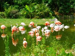 -杭州野生动物世界