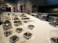 -北京周口店北京人遗址博物馆