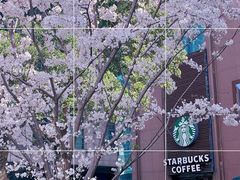 -星巴克(汤臣国贸大厦店)