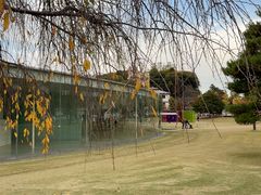 -金泽21世纪美术馆