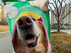 -PETKIT小佩宠物(古北店)