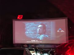 -枫花园汽车电影院(朝阳公园店)