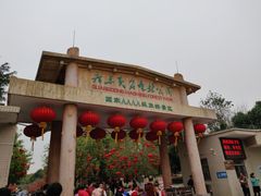 -广东茂名森林公园