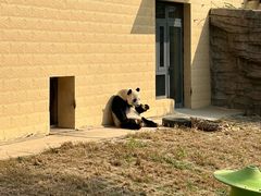 -石家庄市动物园