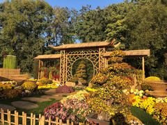 -上海共青森林公园