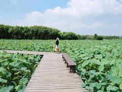 -梁鸿国家湿地公园