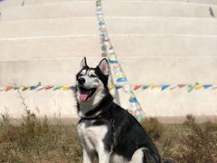 -亿利库布其七星湖沙漠生态旅游区