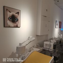 -洗脸猫·洗脸吧