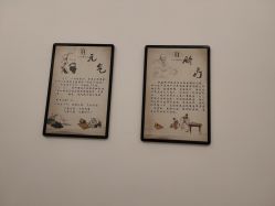 -DEM缔怡美科技美容