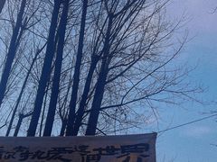 -林间山庄