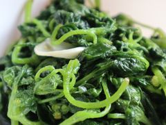 炒野菜-夏雨路轩特色餐厅·十年经营