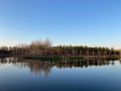 -东郊湿地公园