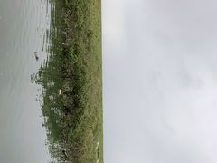 -北海金海湾红树林生态旅游区