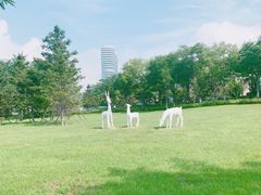 -东戴河风景区