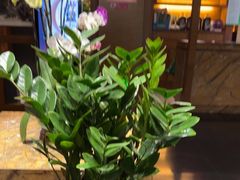 -黔蘑菇四季餐厅(观山湖店)