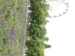 -广东花都香草世界旅游度假区