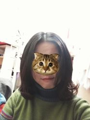 -木北造型