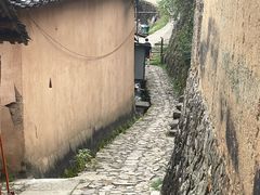 -杨家堂村