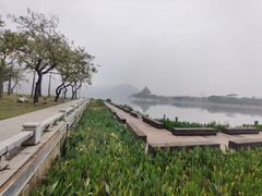 -顺峰山公园