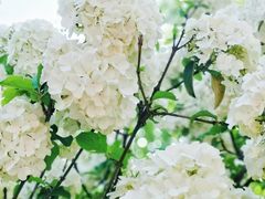 -大龙山(地铁站)