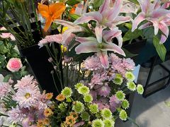 -之悦咖啡馆(新星宇·之洲店)