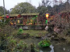 -青城甲(青城山店)