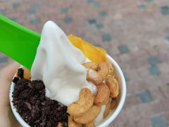 -Salud撒露欧洲冻酸奶(蓝色港湾店)