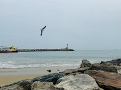 -海云台海滩