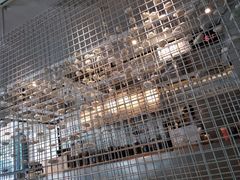 -喜茶(佛山顺德大良东乐路店)