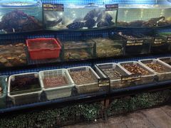 -富港会·海鲜酒楼(墟沟店)