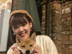 -柴犬高等学院·狗咖·柴犬售卖·宠物训练