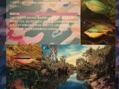 -上海海洋水族馆