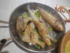 -东江海鲜大排档·潮汕菜·砂锅粥